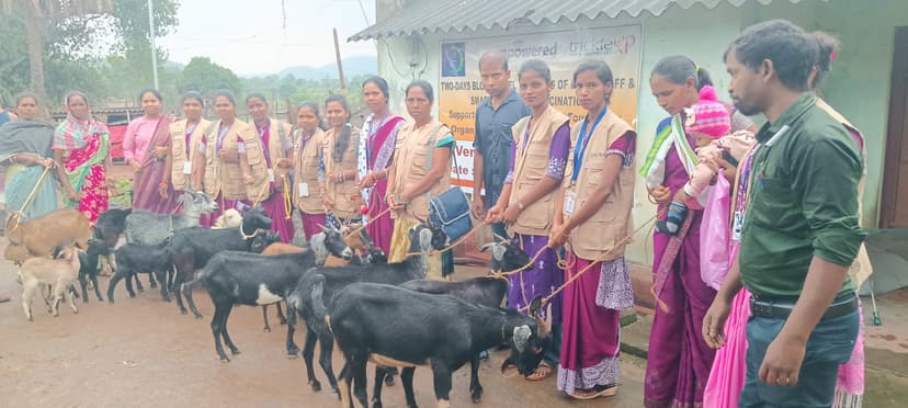 Women Empowerment gallery image 2