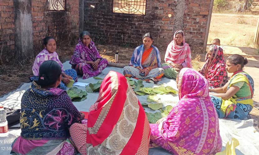 Forest Life - Strengthening community-based institution for livelihood and ecological security in Daringbadi block, Odisha gallery image 3