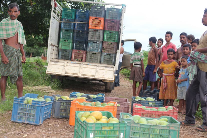 Orissa Tribal Empowerment and Livelihood Programme (OTELP) gallery image 4