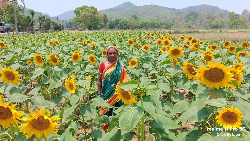 Promotion of Agriculture Production Clusters in tribal Regions of Odisha gallery image 2