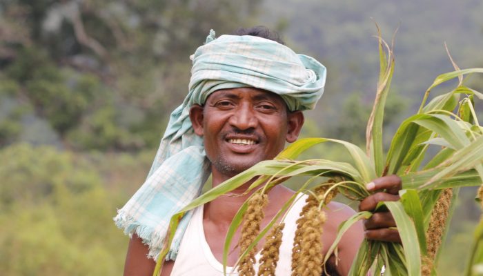 Jagruri Kandhamal Ngo Picture- Livelihood